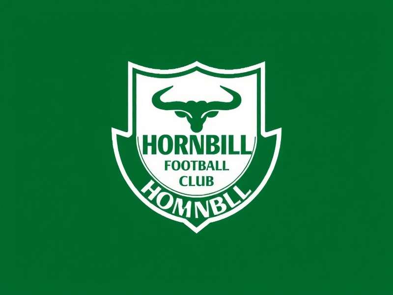 Hornbill FC management team discussing strategy